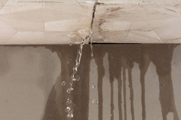 Professional Flood Damage Cleanup technician working in Davisburg, MI